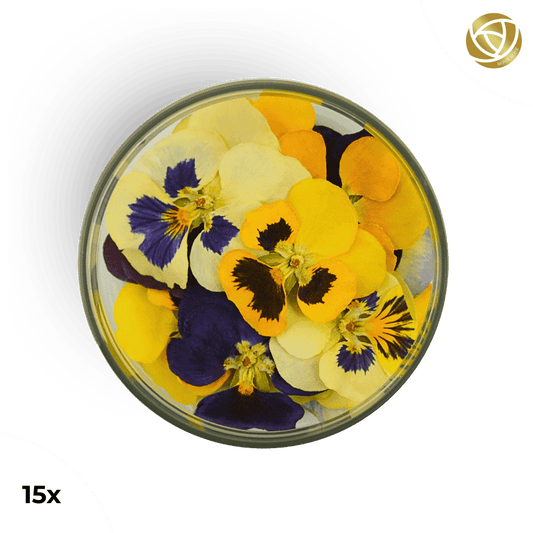 ###SpecialBlütenStiefmütterchen