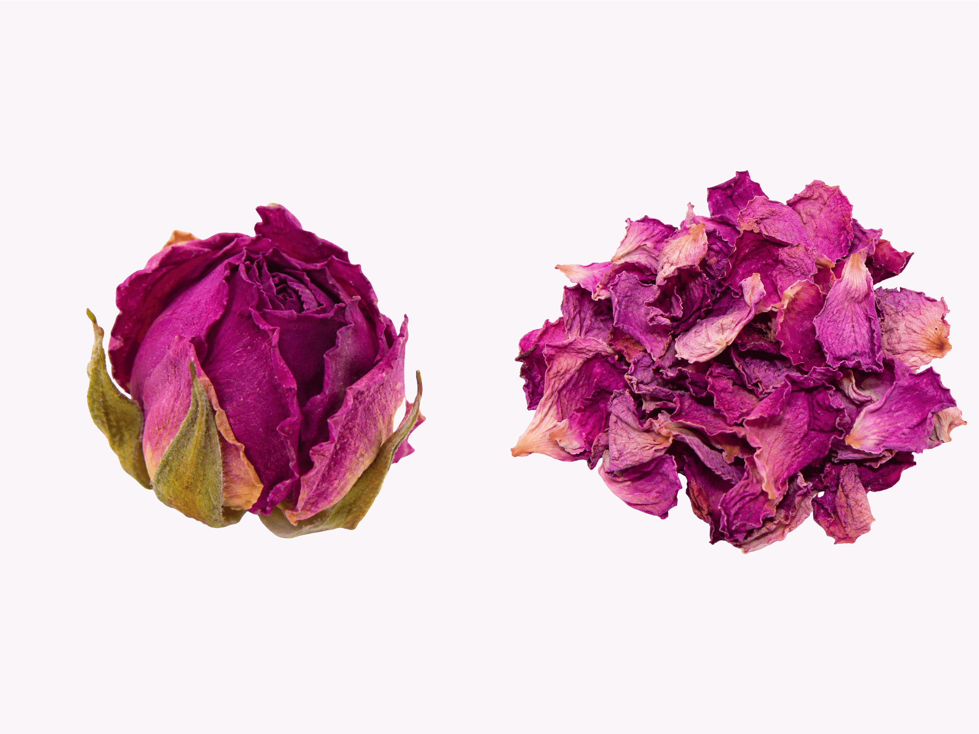 Essbare Blüten im Größenvergleich