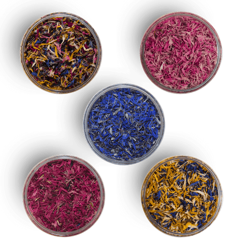 ###KornBlau
###KornRosa
###KornRot
###KornClassicMix
###KornTropicalMix
###KornViolet