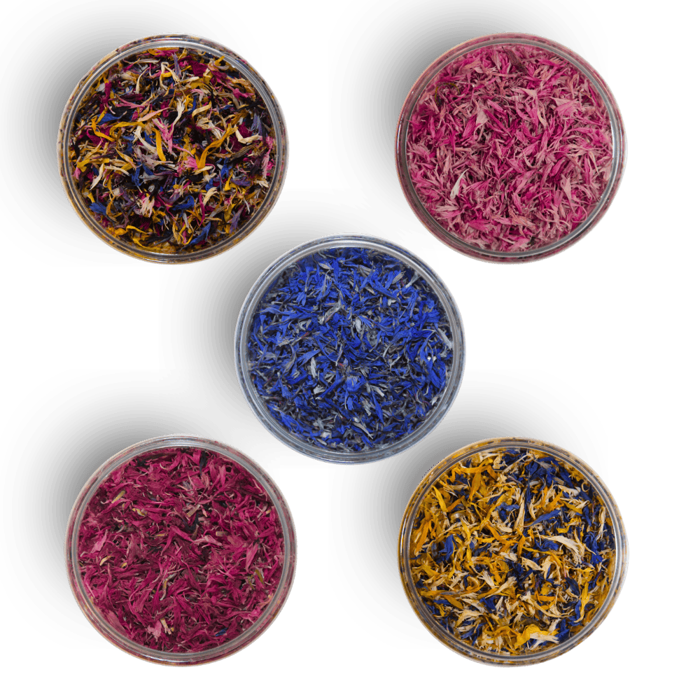 ###KornBlau
###KornRosa
###KornRot
###KornClassicMix
###KornTropicalMix
###KornViolet