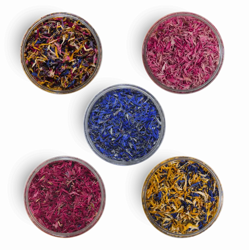 Kornblumenblüten - Essbare getrocknete Blütenblätter- - ROSIE ROSE