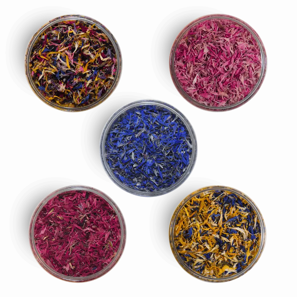 Kornblumenblüten - Essbare getrocknete Blütenblätter- - ROSIE ROSE