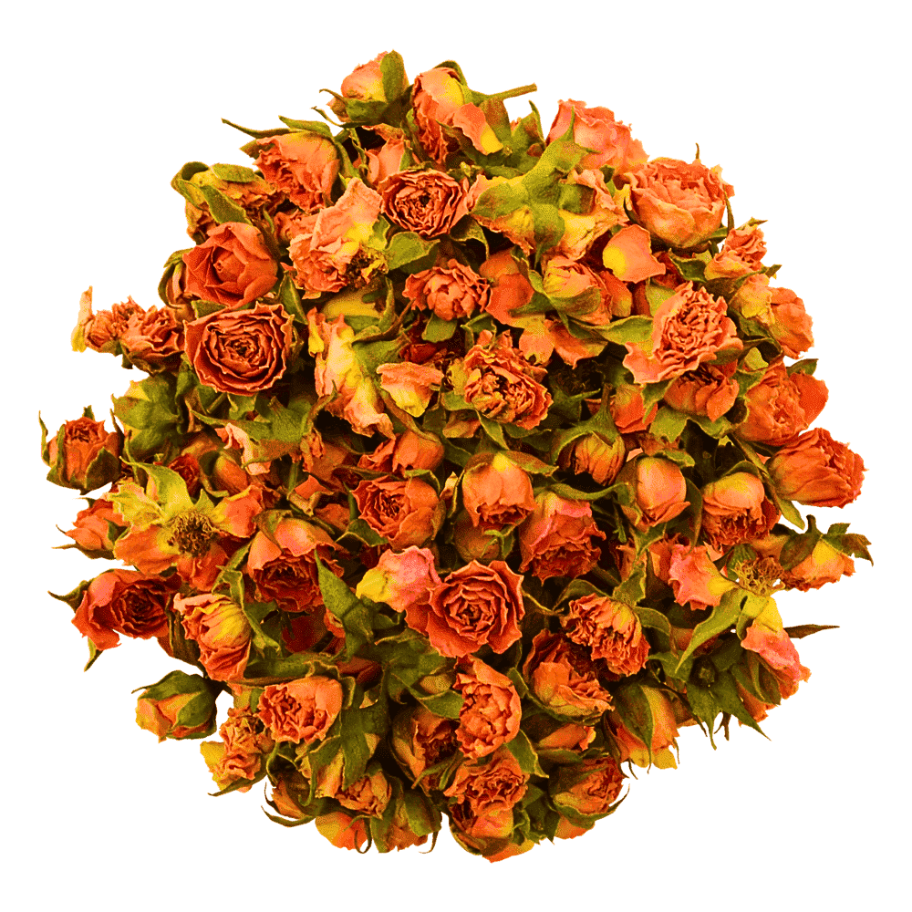 Getrocknete essbare Rosenblüten – Natürliche Dekoration | ROSIE ROSE Getrocknete essbare Rosenblüten – Natürliche Dekoration | ROSIE ROSE