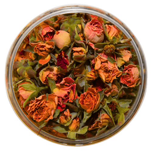 ###RosenblütenOrangeSunrise