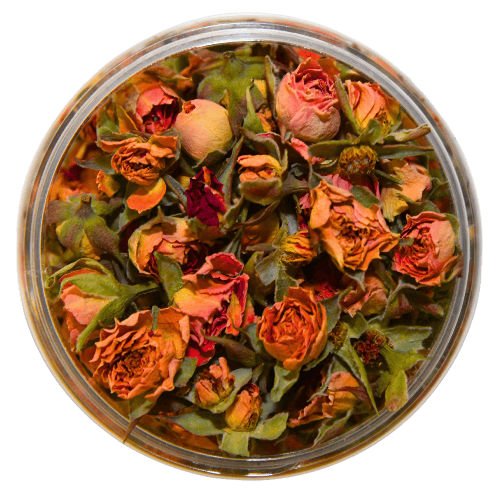 ###RosenblütenOrangeSunrise