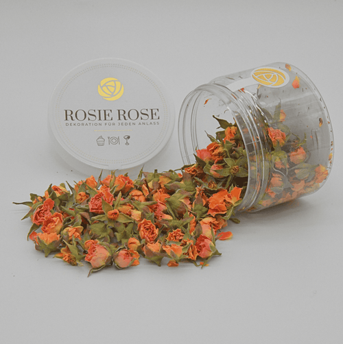 ###RosenblütenOrangeSunrise