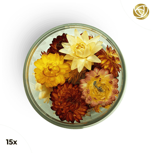###SpecialBlütenStrohblumenMix