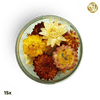 ###SpecialBlütenStrohblumenMix