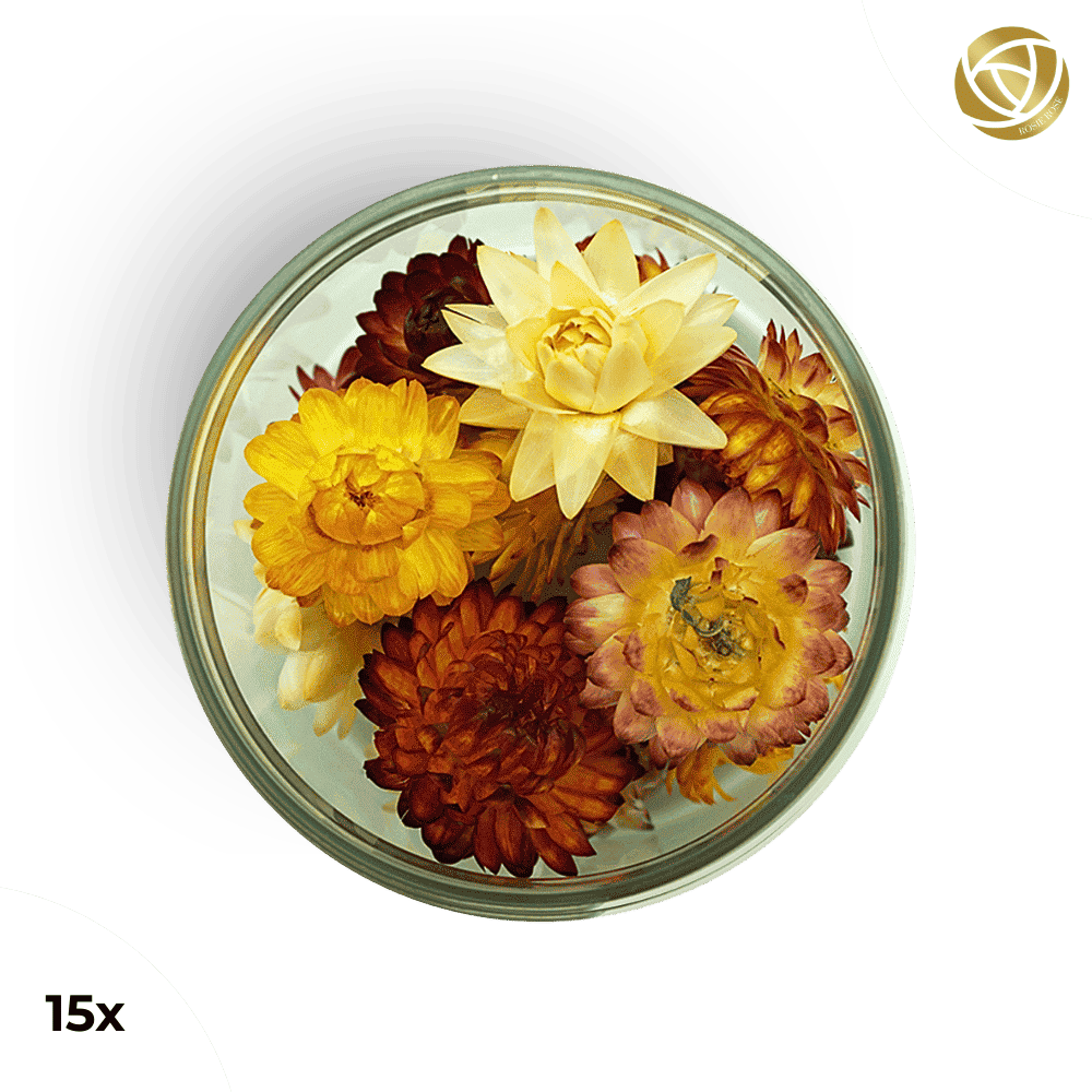 ###SpecialBlütenStrohblumenMix