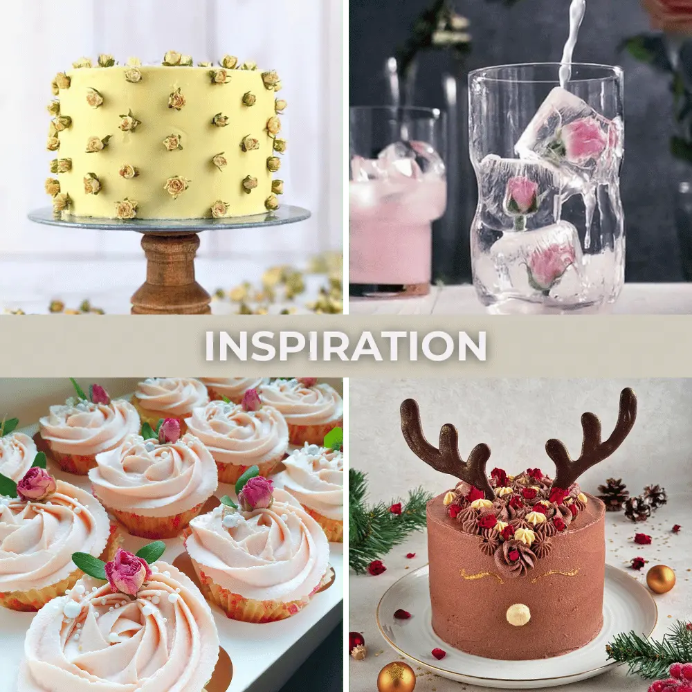 Rosenblüten - Essbare getrocknete Blüten- - ROSIE ROSE