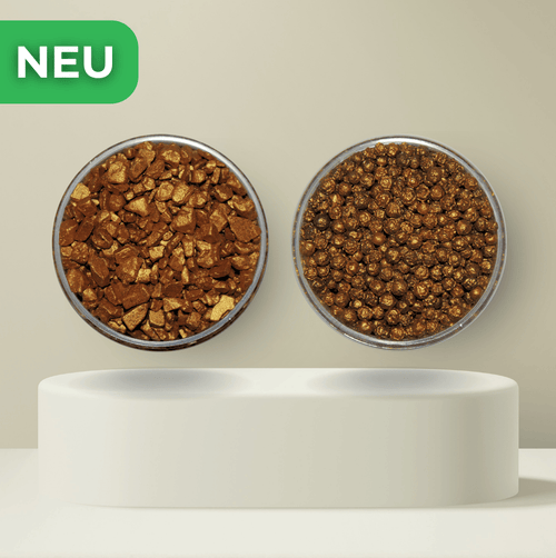 Goldenes Salz und Pfeffer - Nachfüllpack