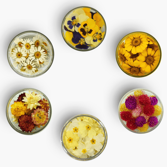 ###SpecialBlütenKugelamarantMix
###SpecialBlütenStiefmütterchen