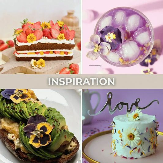 Special Blüten - Essbare getrocknete Blüten- - ROSIE ROSE