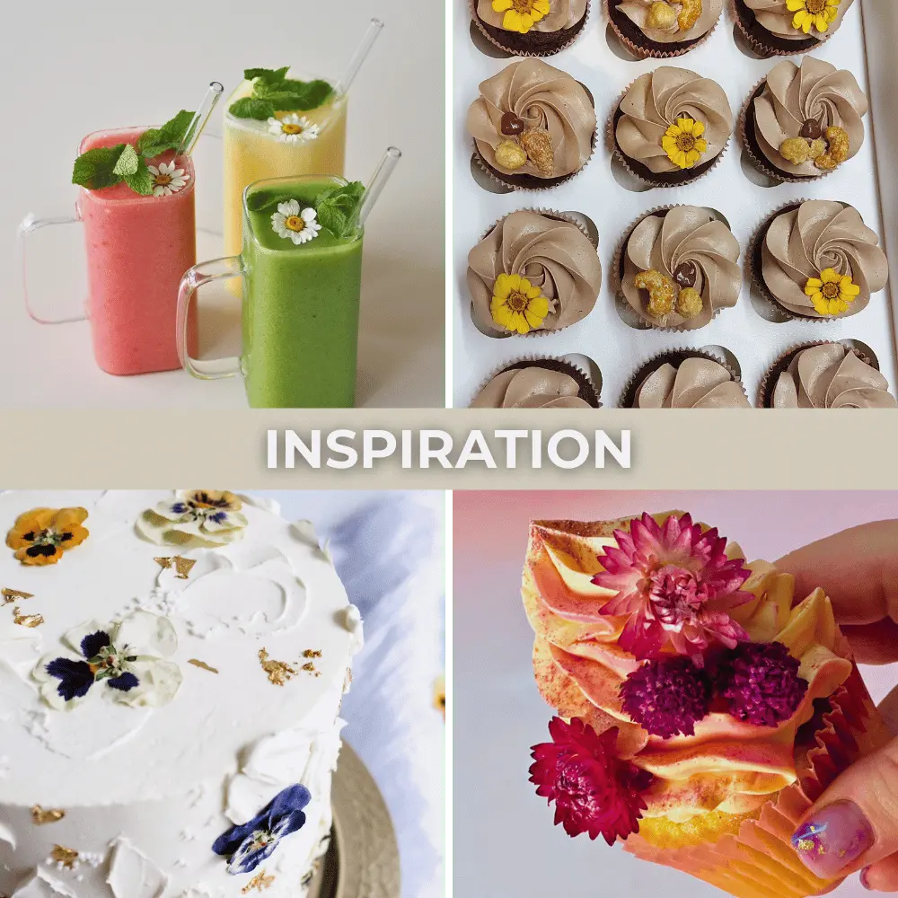 Special Blüten - Essbare getrocknete Blüten- - ROSIE ROSE