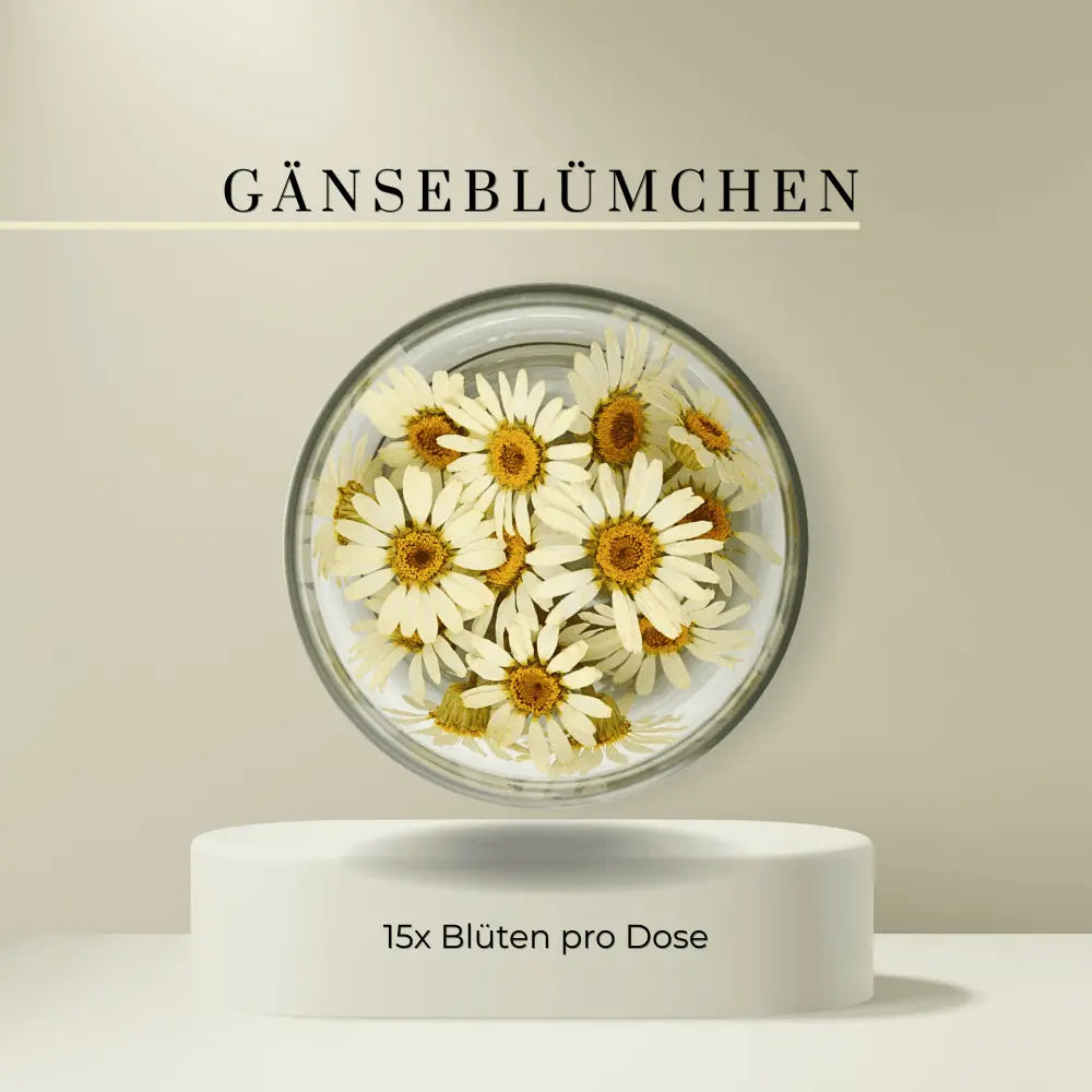 Special Blüten - Essbare getrocknete Blüten- Gänseblümchen - 15 Stk- ROSIE ROSE