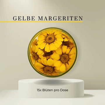 Gelbe Margeriten - 15 Stk