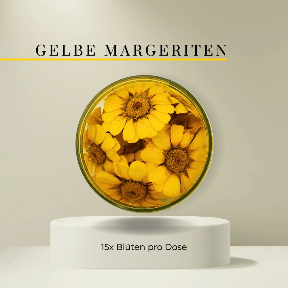 Special Blüten - Essbare getrocknete Blüten- Gelbe Margeriten - 15 Stk- ROSIE ROSE