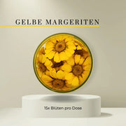 Special Blüten - Essbare getrocknete Blüten- Gelbe Margeriten - 15 Stk- ROSIE ROSE