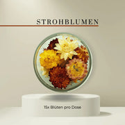 Special Blüten - Essbare getrocknete Blüten- Strohblumen Mix - 15 Stk- ROSIE ROSE