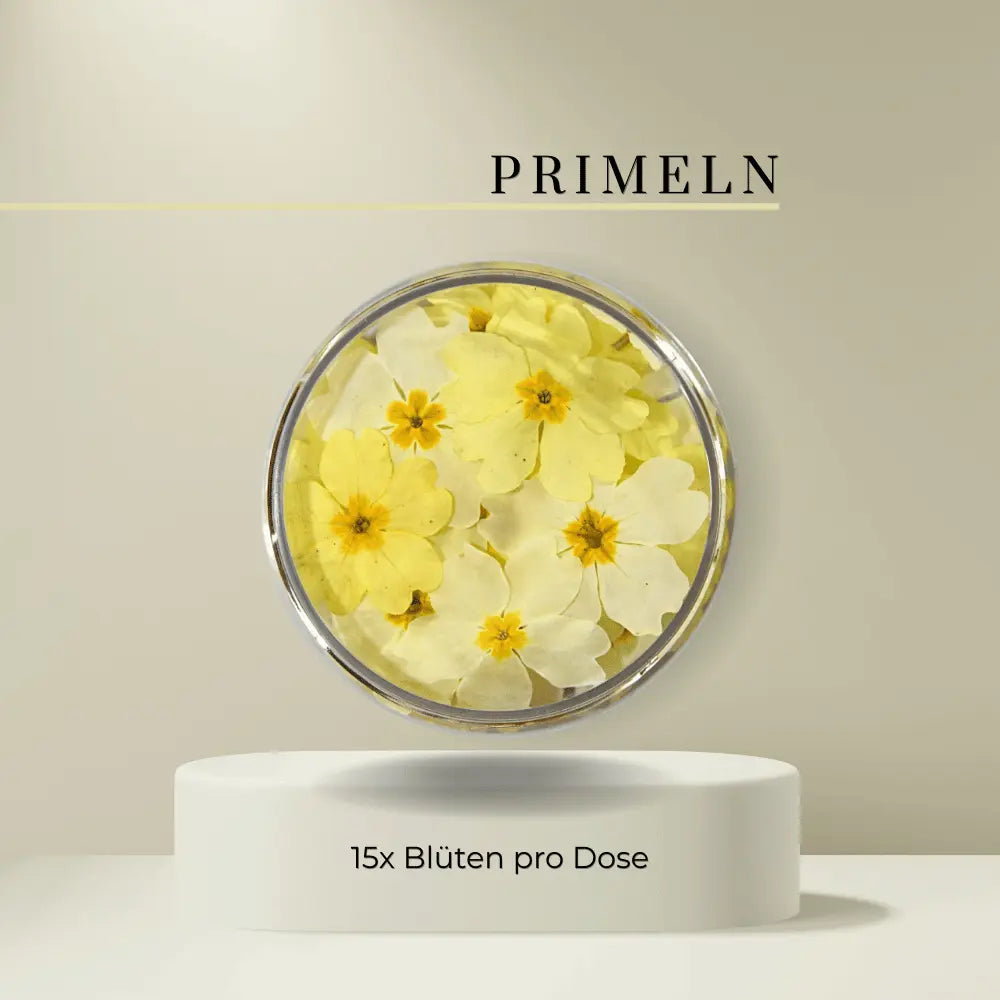 Special Blüten - Essbare getrocknete Blüten- Primeln - 15 Stk (Limitiert)- ROSIE ROSE