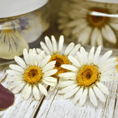 Verleihen Sie Ihren Cupcakes eine blumige Note mit unseren essbaren Blumen aus Margeriten, Gänseblümchen und Stiefmütterchen. Diese besondere Dekoration wird Ihre Gäste begeistern! Von ROSIE ROSE im Online-Shop kaufen