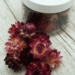 Unsere Lavendel-Strohblumen sind nicht nur Blumen, sondern auch eine Quelle der Entspannung und Romantik. Ihre zarten Blütenblätter verströmen einen beruhigenden Lavendelduft und verleihen deinen Projekten eine einzigartige Note. Diese Strohblumen sind perfekt für Hochzeiten, Spa-Dekorationen und aromatische DIY-Projekte. Entdecke die beruhigende Schönheit der Lavendel-Strohblumen und verleihe deinen Kreationen eine entspannte und romantische Atmosphäre.