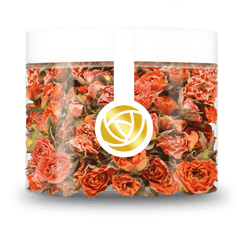 Verleihen Sie Ihren Torten und Gebäcken mit unseren essbaren Orange Sunrise Blüten eine besondere Note. Unsere getrockneten Orange Sunrise Rosenblüten setzen einzigartige Akzente bei der Dekoration Ihrer Torte und sind perfekt für eine schöne und köstliche Torte. Von ROSIE ROSE im Online-Shop kaufen